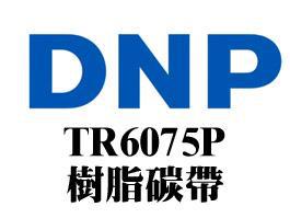DNP TR6075Plus树脂碳带
